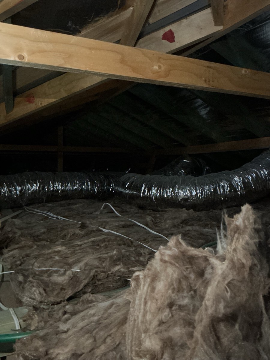 Downlight minimum clearance required, recorded during a handover inspection in Austral
